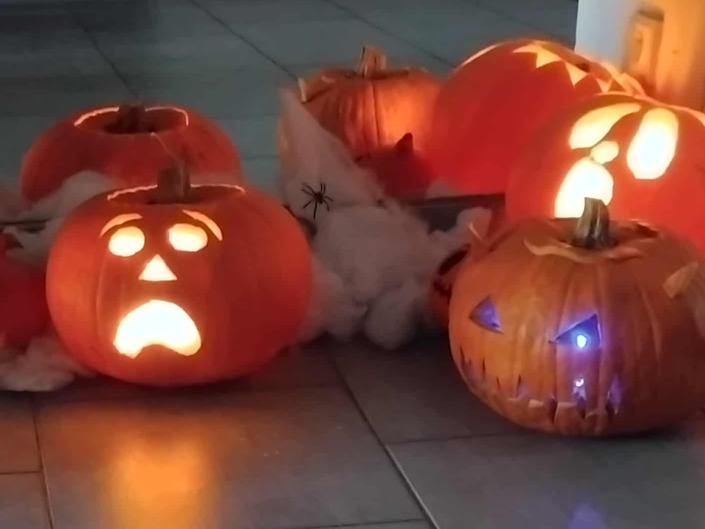 kouzelné dýně spojují