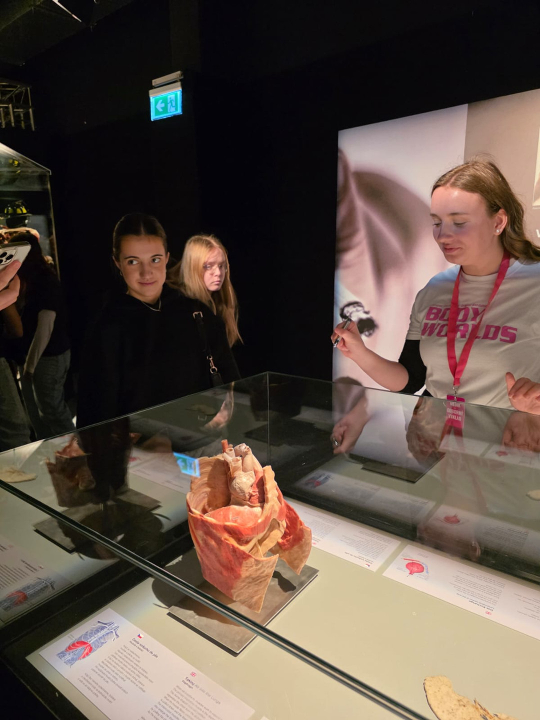 výstava Tělo v pohybu v Praze pro žáky 1. ročníků k výuce Biologie