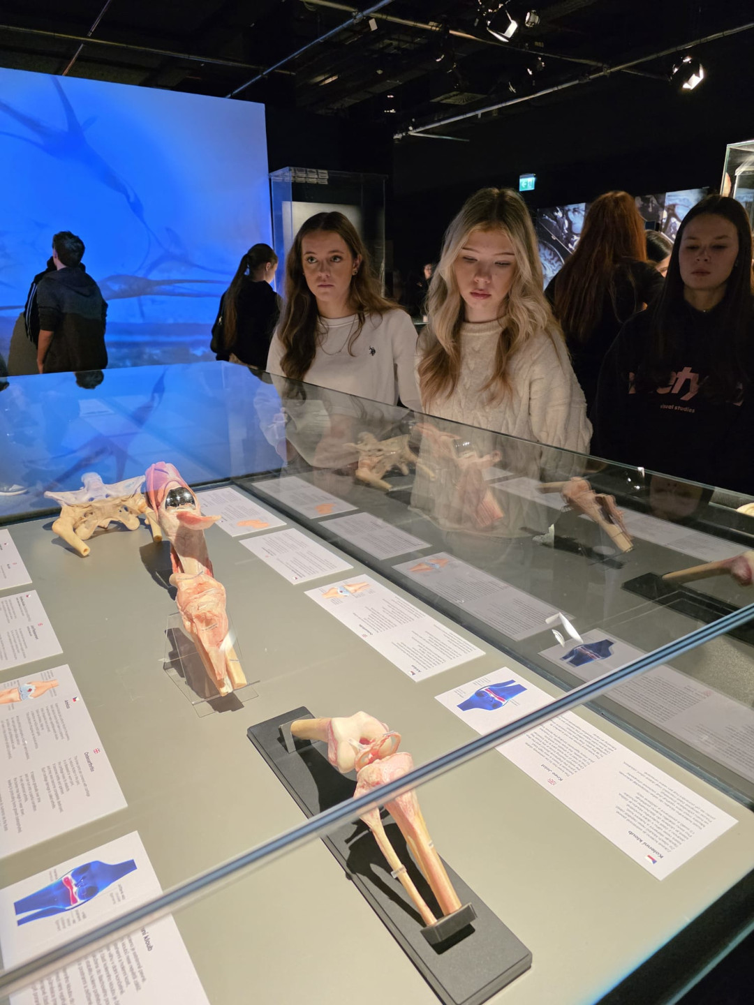 výstava Tělo v pohybu v Praze pro žáky 1. ročníků k výuce Biologie